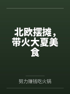 林晨安布尔北欧摆摊，带火大夏美食封面