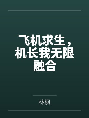 飞机求生,机长我无限融合封面