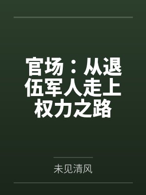 官场：从退伍军人走上权力之路封面